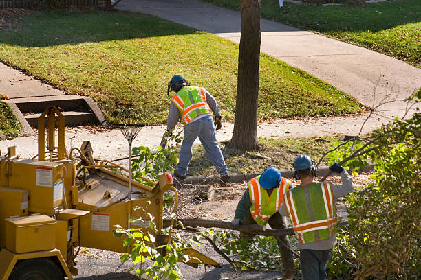 Myers Corner, NY  Tree Services Company